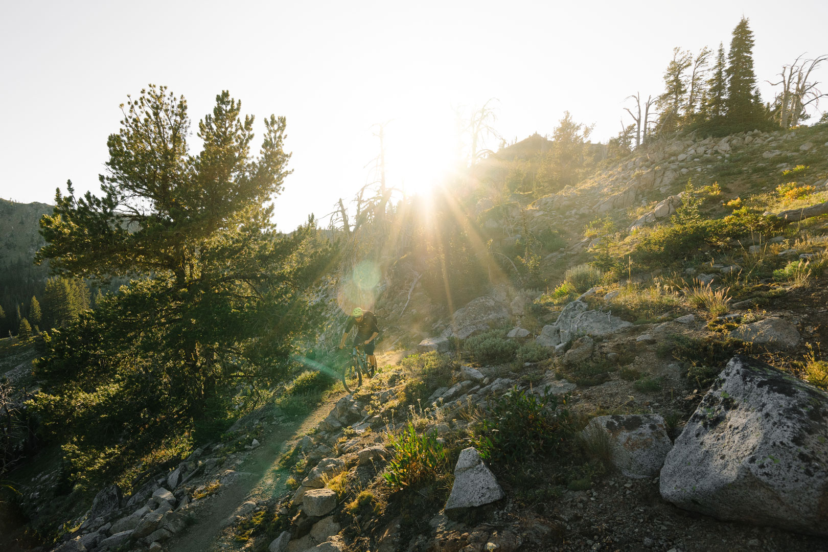 Jason Fitzgibbon Mountain Biking - Tillak